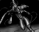 illustrations