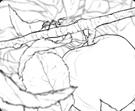 storyboards